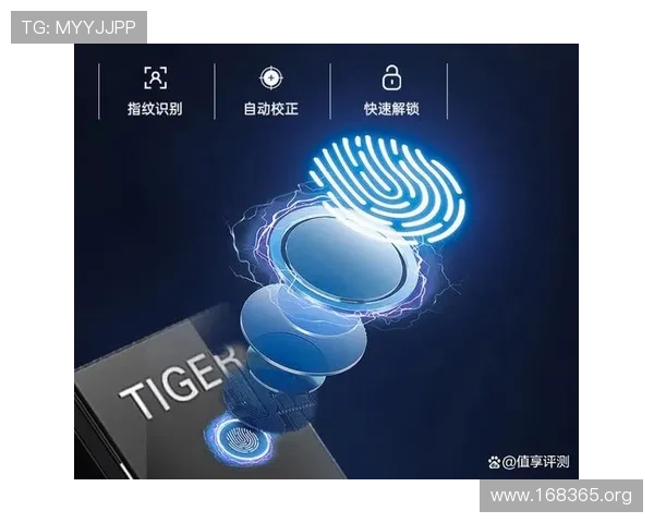 虎牌保险柜：家庭与办公室安全的理想选择